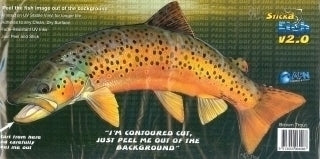 Brown Trout — cover