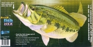 Large Mouth Bass — cover