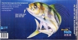 Roosterfish — cover