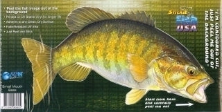 Small Mouth Bass — cover