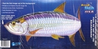 Tarpon — cover