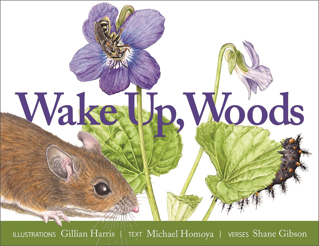 Wake Up Woods by Michael Homoya; Shane Gibson — cover