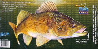 Walleye — cover