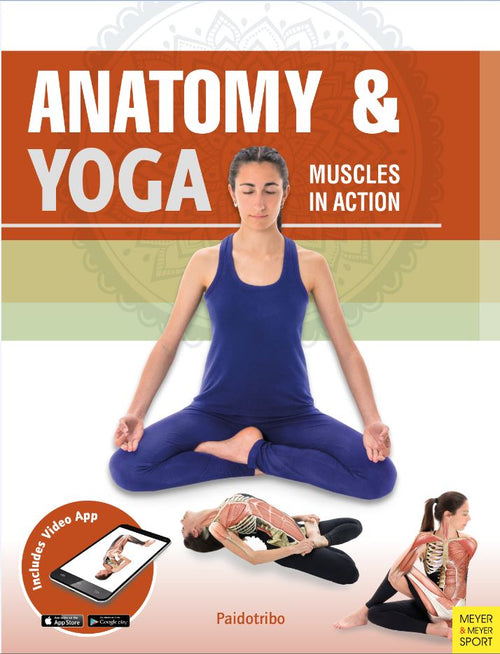 Anatomy & Yoga by Paidotribo — cover